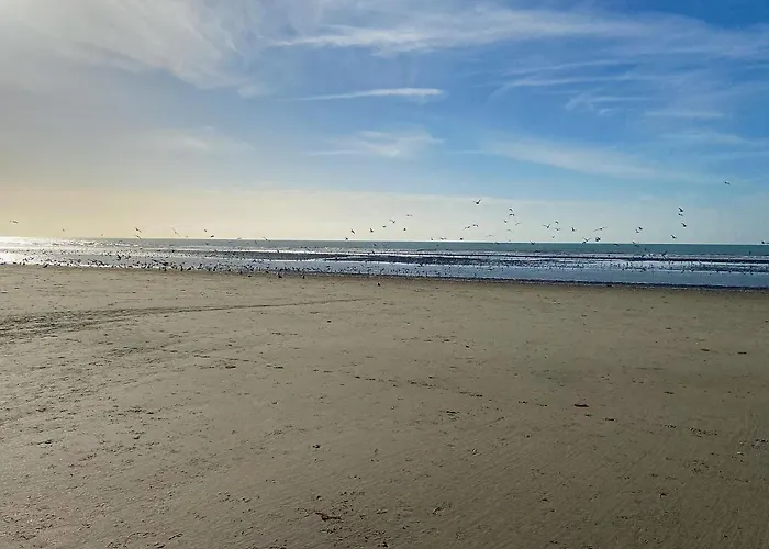 Couette-café Un Matin De Mai Verlincthun